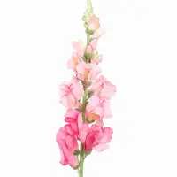 Pure Royal kunsttak leeuwebekjes 81cm roze - afbeelding 2