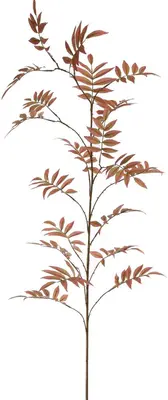 Pure Royal kunsttak lijsterbes 161cm bruin - afbeelding 1