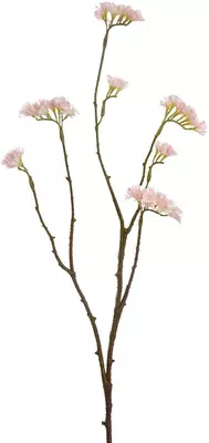 Pure Royal kunsttak limonium 70cm roze - afbeelding 1