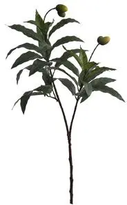 Pure Royal kunsttak magnolia 105cm groen - afbeelding 1