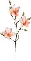 Pure Royal kunsttak magnolia 90cm koraal kopen?
