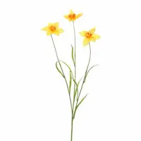 Pure Royal kunsttak narcis 70cm geel - afbeelding 1