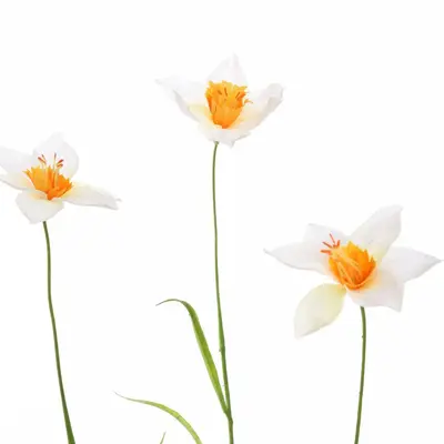Pure Royal kunsttak narcis 70cm wit - afbeelding 2