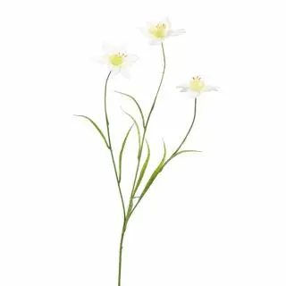 Pure Royal kunsttak narcis 70cm wit - afbeelding 1