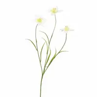 Pure Royal kunsttak narcis 70cm wit - afbeelding 1