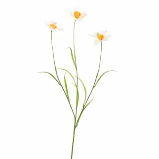 Pure Royal kunsttak narcis 70cm wit - afbeelding 1