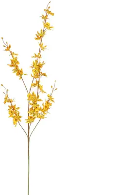 Pure Royal kunsttak oncidium 98cm geel - afbeelding 1
