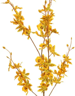 Pure Royal kunsttak oncidium 98cm geel - afbeelding 2
