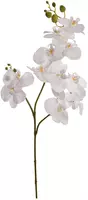 Pure Royal kunsttak orchidee 100cm crème - afbeelding 1