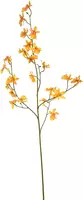 Pure Royal kunsttak orchidee 100cm geel - afbeelding 1