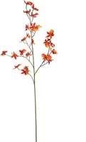 Pure Royal kunsttak orchidee 100cm oranje - afbeelding 1