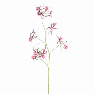 Pure Royal kunsttak orchidee 111cm lavendel - afbeelding 1