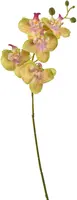 Pure Royal kunsttak orchidee 70cm groen - afbeelding 2