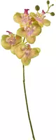 Pure Royal kunsttak orchidee 70cm groen kopen?