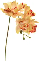 Pure Royal kunsttak orchidee 72cm geel kopen?