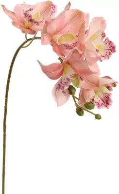 Pure Royal kunsttak orchidee 72cm roze - afbeelding 1