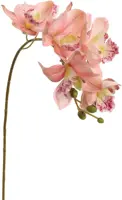 Pure Royal kunsttak orchidee 72cm roze - afbeelding 1