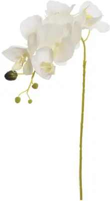 Pure Royal kunsttak orchidee 80cm crème - afbeelding 1