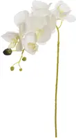 Pure Royal kunsttak orchidee 80cm crème kopen?