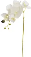 Pure Royal kunsttak orchidee 80cm crème - afbeelding 1