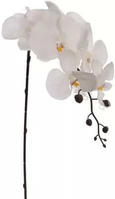 Pure Royal kunsttak orchidee 87cm crème - afbeelding 1