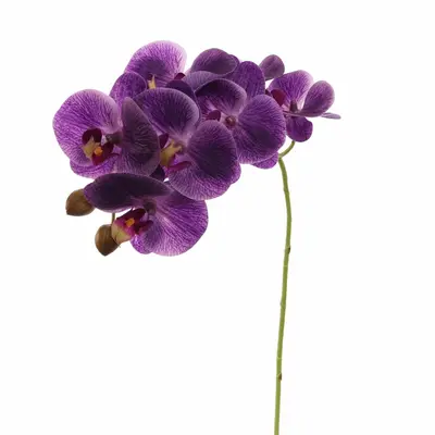 Pure Royal kunsttak phalaenopsis 60cm paars - afbeelding 1