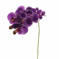 Pure Royal kunsttak phalaenopsis 60cm paars - afbeelding 1