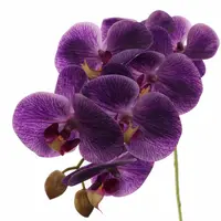 Pure Royal kunsttak phalaenopsis 60cm paars - afbeelding 2