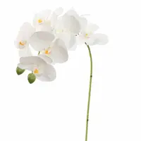 Pure Royal kunsttak phalaenopsis 60cm wit - afbeelding 1