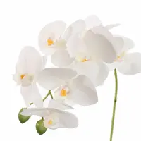Pure Royal kunsttak phalaenopsis 60cm wit - afbeelding 2