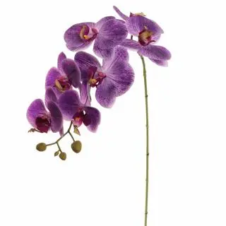 Pure Royal kunsttak phalaenopsis 85cm paars - afbeelding 1