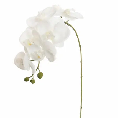 Pure Royal kunsttak phalaenopsis 85cm wit - afbeelding 1