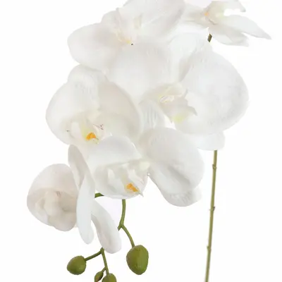 Pure Royal kunsttak phalaenopsis 85cm wit - afbeelding 2