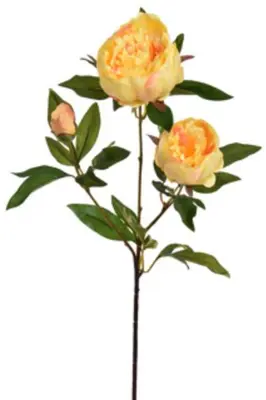 Pure Royal kunsttak pioen 70cm geel - afbeelding 1