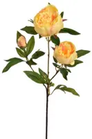 Pure Royal kunsttak pioen 70cm geel - afbeelding 1