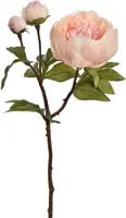 Pure Royal kunsttak pioenroos 48cm perzik - afbeelding 1