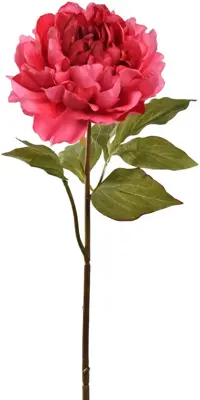 Pure Royal kunsttak pioenroos 57cm beauty - afbeelding 1