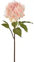 Pure Royal kunsttak pioenroos 57cm crème roze - afbeelding 1