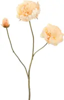Pure Royal kunsttak pioenroos 64cm vanille - afbeelding 1