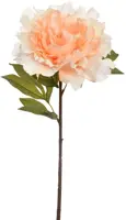 Pure Royal kunsttak pioenroos 69cm vanille - afbeelding 2