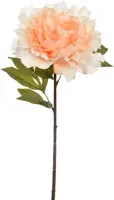 Pure Royal kunsttak pioenroos 69cm vanille - afbeelding 1