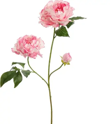 Pure Royal kunsttak pioenroos 80cm crème roze - afbeelding 1