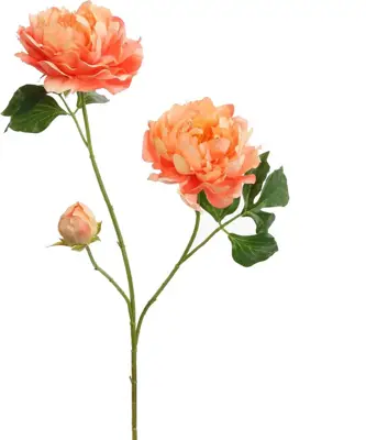 Pure Royal kunsttak pioenroos 80cm perzik - afbeelding 1