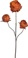 Pure Royal kunsttak pioenroos 82cm oranje - afbeelding 1