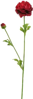 Pure Royal kunsttak ranunculus 62cm burgundy - afbeelding 1