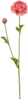 Pure Royal kunsttak ranunculus 62cm roze - afbeelding 1