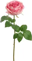 Pure Royal kunsttak roos 52cm crème - afbeelding 2
