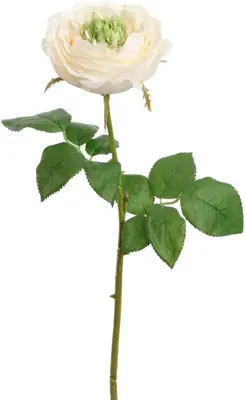 Pure Royal kunsttak roos 52cm crème - afbeelding 1