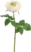 Pure Royal kunsttak roos 52cm crème - afbeelding 1