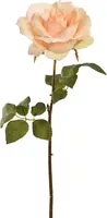 Pure Royal kunsttak roos 53cm vanille - afbeelding 1